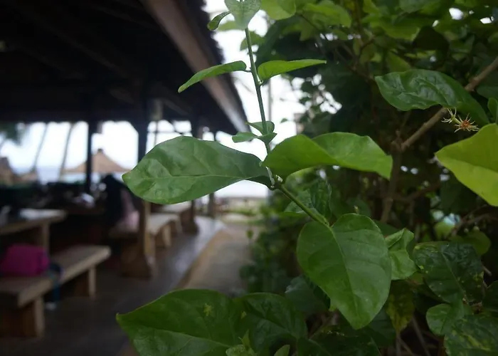 Puri Pandan Restaurant And Maison d'hôtes
